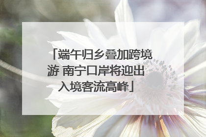 端午归乡叠加跨境游 南宁口岸将迎出入境客流高峰