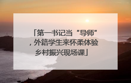 第一书记当“导师”，外籍学生来怀柔体验乡村振兴现场课