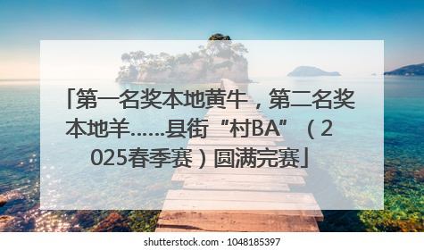第一名奖本地黄牛，第二名奖本地羊……县街“村BA”（2025春季赛）圆满完赛