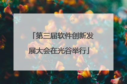 第三届软件创新发展大会在光谷举行