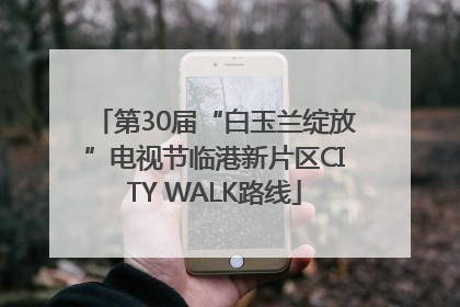 第30届“白玉兰绽放”电视节临港新片区CITY WALK路线