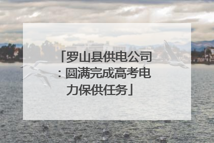 罗山县供电公司：圆满完成高考电力保供任务