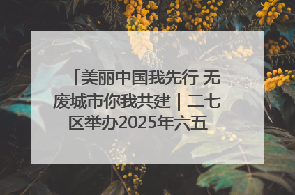 美丽中国我先行 无废城市你我共建｜二七区举办2025年六五环境日主题宣传活动