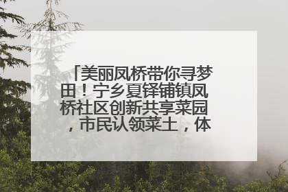 美丽凤桥带你寻梦田！宁乡夏铎铺镇凤桥社区创新共享菜园，市民认领菜土，体验耕种收获乐趣