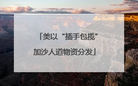 美以“插手包揽”加沙人道物资分发