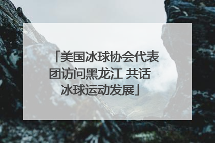 美国冰球协会代表团访问黑龙江 共话冰球运动发展
