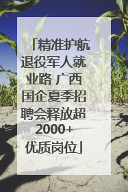 精准护航退役军人就业路 广西国企夏季招聘会释放超2000+优质岗位