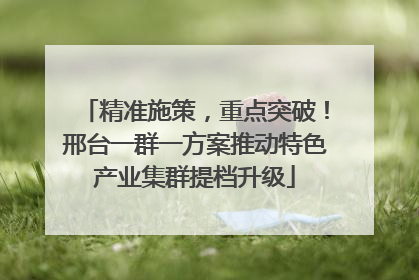 精准施策，重点突破！邢台一群一方案推动特色产业集群提档升级