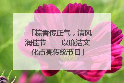粽香传正气，清风润佳节——以廉洁文化点亮传统节日