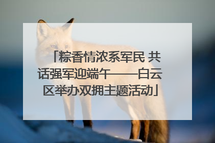 粽香情浓系军民 共话强军迎端午——白云区举办双拥主题活动
