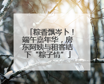 粽香飘岑卜！端午嘉年华，房东阿姨与租客结下“粽子情”