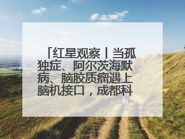 红星观察丨当孤独症、阿尔茨海默病、脑胶质瘤遇上脑机接口，成都科研改变医学图景