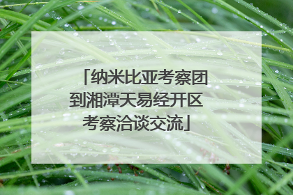 纳米比亚考察团到湘潭天易经开区考察洽谈交流