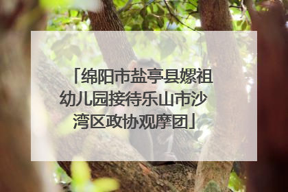 绵阳市盐亭县嫘祖幼儿园接待乐山市沙湾区政协观摩团