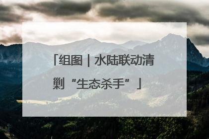 组图｜水陆联动清剿“生态杀手”