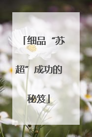 细品“苏超”成功的秘笈