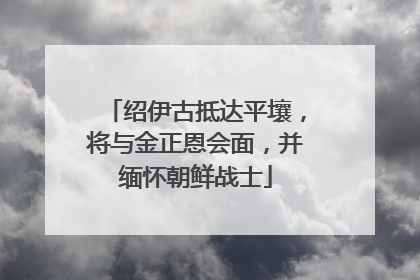 绍伊古抵达平壤，将与金正恩会面，并缅怀朝鲜战士