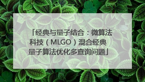 经典与量子结合：微算法科技（MLGO）混合经典量子算法优化多查询问题