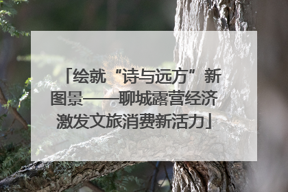 绘就“诗与远方”新图景——聊城露营经济激发文旅消费新活力