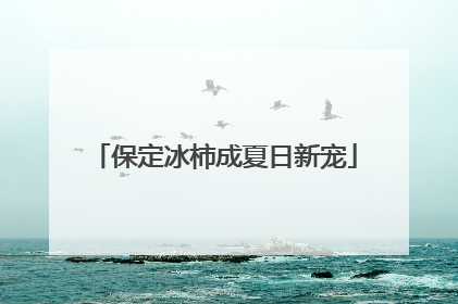 保定冰柿成夏日新宠