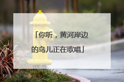 你听，黄河岸边的鸟儿正在歌唱