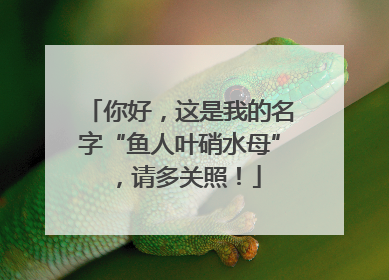你好，这是我的名字“鱼人叶硝水母”，请多关照！