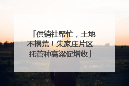 供销社帮忙，土地不撂荒！朱家庄片区托管种高粱促增收