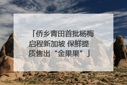 侨乡青田首批杨梅启程新加坡 保鲜提质售出“金果果”