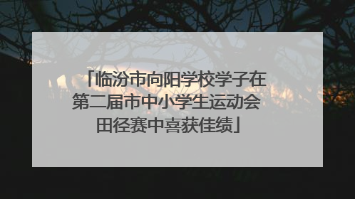 临汾市向阳学校学子在第二届市中小学生运动会田径赛中喜获佳绩