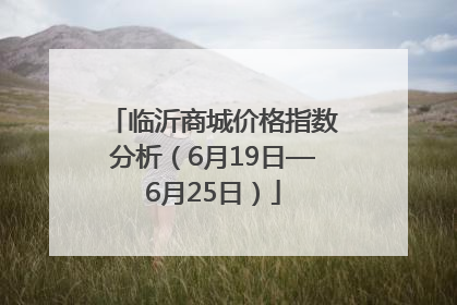 临沂商城价格指数分析（6月19日—6月25日）