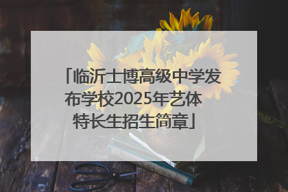临沂士博高级中学发布学校2025年艺体特长生招生简章