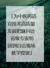 为中医药适宜技术高质量发展把脉问诊 省级专家组团到自贡现场教学授课