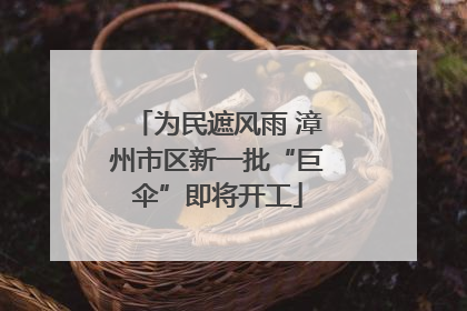 为民遮风雨 漳州市区新一批“巨伞”即将开工