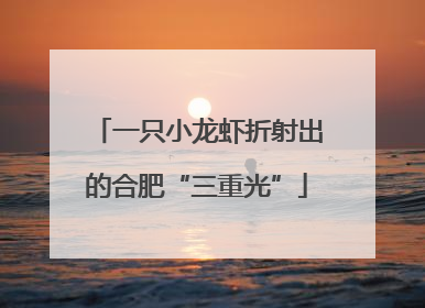 一只小龙虾折射出的合肥“三重光”
