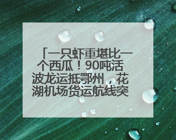 一只虾重堪比一个西瓜！90吨活波龙运抵鄂州，花湖机场货运航线突破100条
