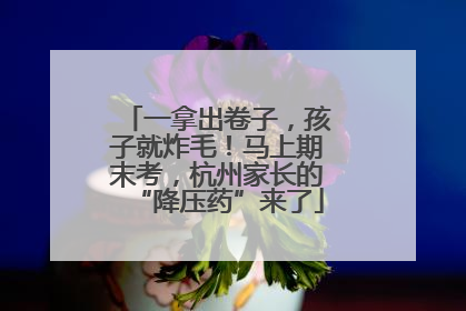 一拿出卷子，孩子就炸毛！马上期末考，杭州家长的“降压药”来了