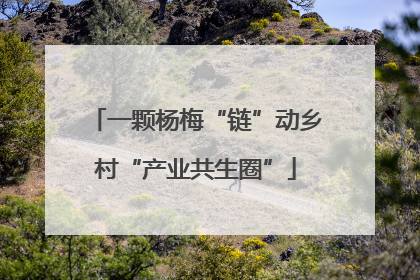 一颗杨梅“链”动乡村“产业共生圈”