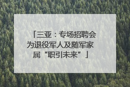 三亚：专场招聘会为退役军人及随军家属“职引未来”