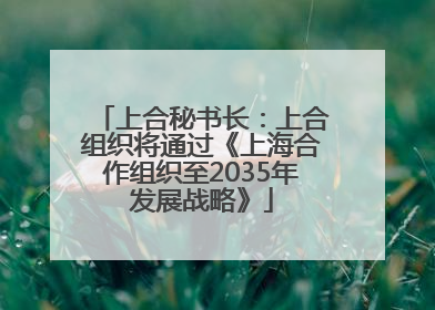 上合秘书长：上合组织将通过《上海合作组织至2035年发展战略》