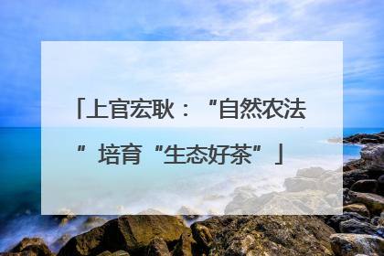 上官宏耿：“自然农法”培育“生态好茶”