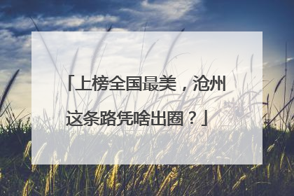 上榜全国最美，沧州这条路凭啥出圈？