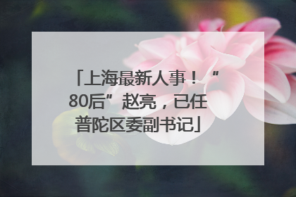 上海最新人事！“80后”赵亮，已任普陀区委副书记