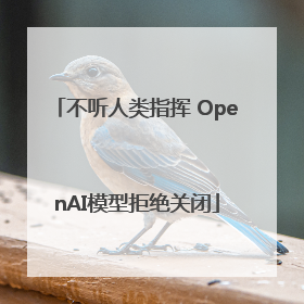 不听人类指挥 OpenAI模型拒绝关闭
