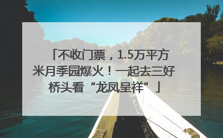 不收门票，1.5万平方米月季园爆火！一起去三好桥头看“龙凤呈祥”