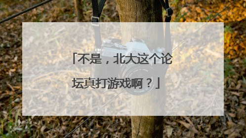 不是，北大这个论坛真打游戏啊？