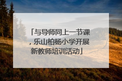 与导师同上一节课，乐山柏杨小学开展新教师培训活动