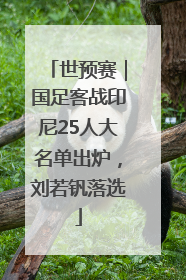 世预赛｜国足客战印尼25人大名单出炉，刘若钒落选