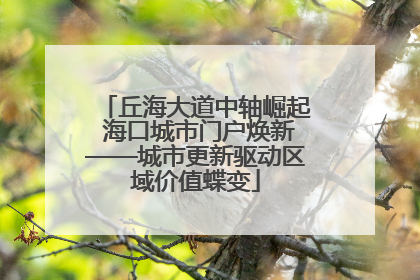 丘海大道中轴崛起 海口城市门户焕新——城市更新驱动区域价值蝶变