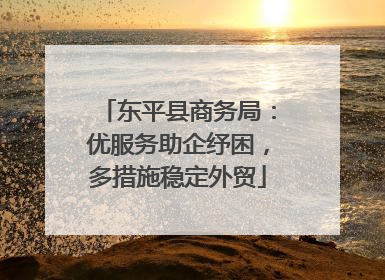 东平县商务局：优服务助企纾困，多措施稳定外贸