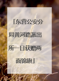 东营公安分局黄河路派出所一日获赠两面锦旗